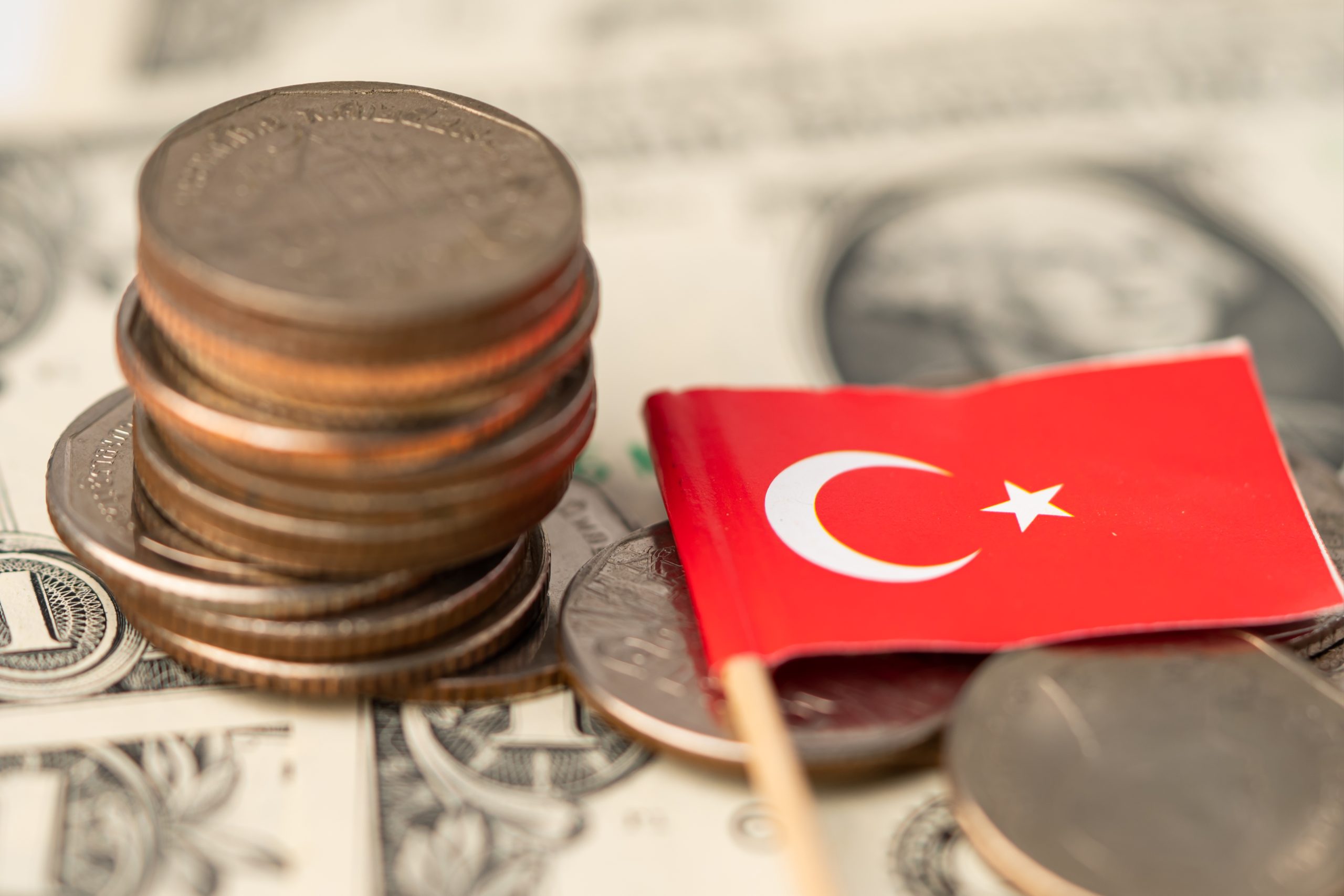 How much is hair transplant in turkey